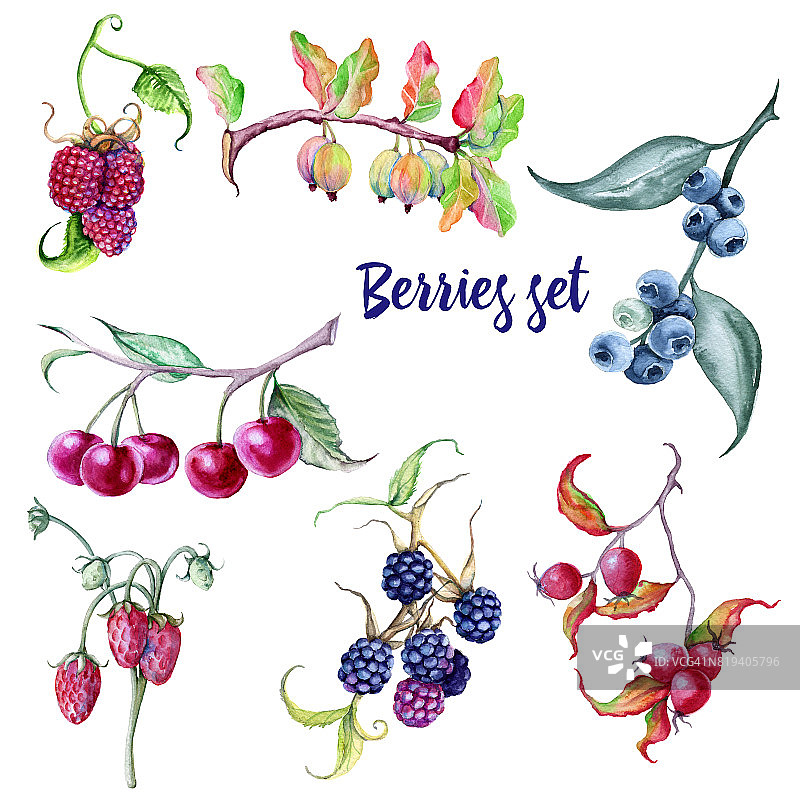 浆果。玫瑰果，蓝莓，黑莓，草莓，覆盆子，醋栗，樱桃。图片素材