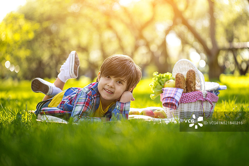 微笑的男孩躺在公园的格子布上看着镜头图片素材