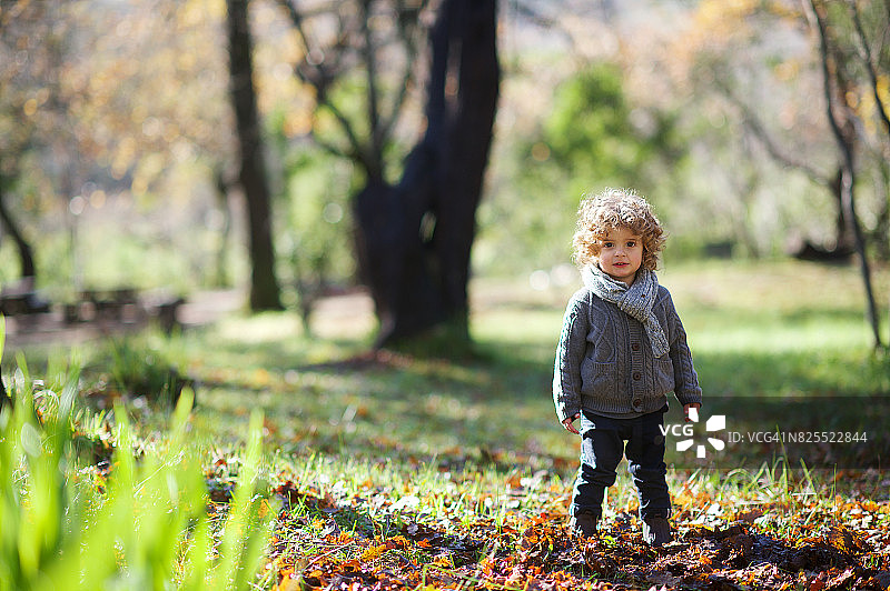 可爱的男孩站在秋叶中图片素材