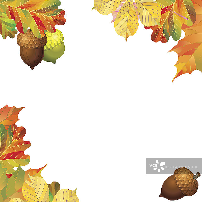 一帧不同的秋叶和橡子。为您的设计准备好模板。矢量图图片素材