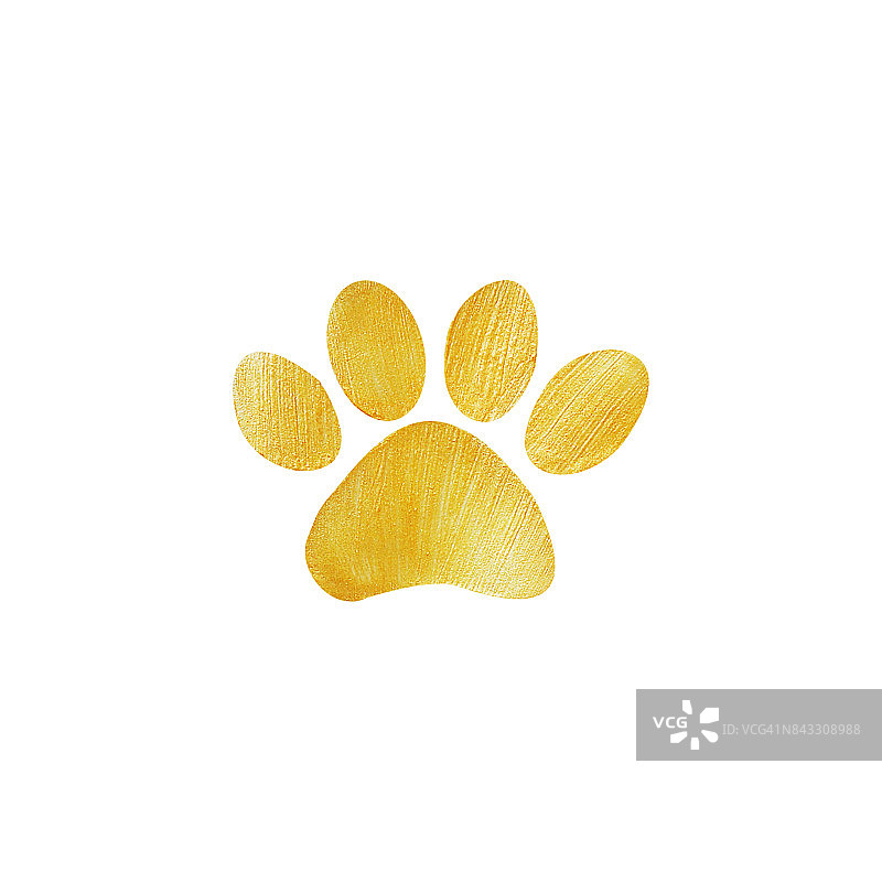 爪子印上装饰亮丽的金色油漆。2018年中国历法符号在孤立的白色背景上。金色的笔触。图片素材