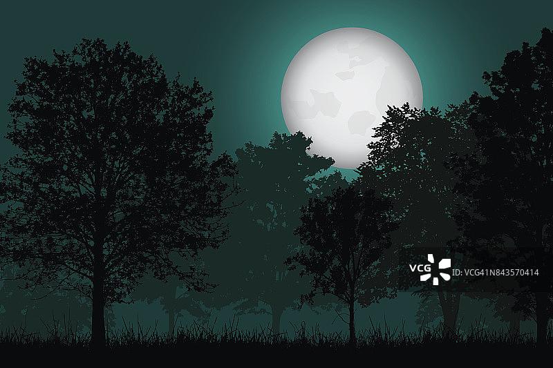 矢量现实的插图落叶森林与草在夜空下满月的月亮图片素材