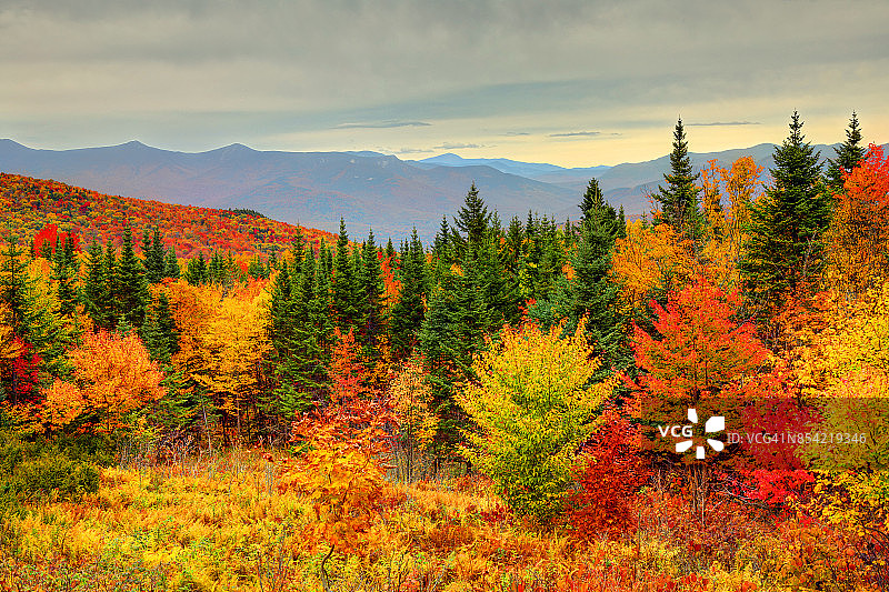 新罕布什尔州白山中的秋叶图片素材