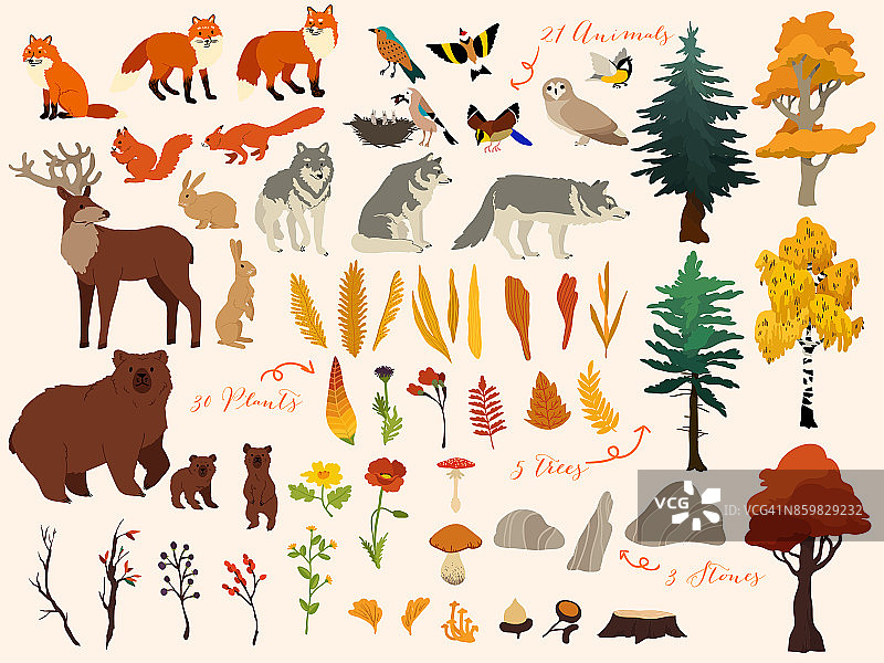 一套可爱的秋季森林元素-动物，树木等。矢量装饰可爱的插图设计图片素材