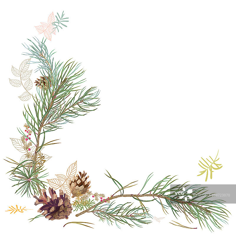 框架与松枝，球果，针，装饰树枝和叶子在白色的背景，手数字绘制，水彩风格，装饰植物插图设计，圣诞树，向量图片素材