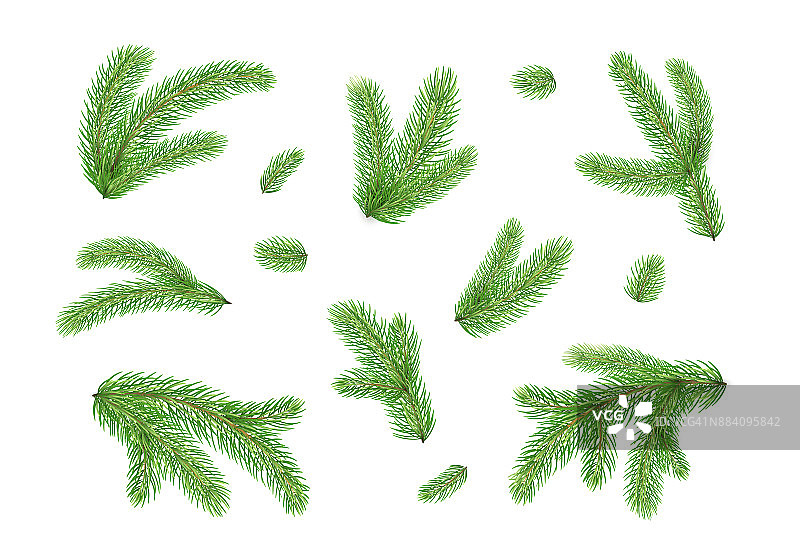 冷杉分支。圣诞树，松针孤立在白色的背景图片素材