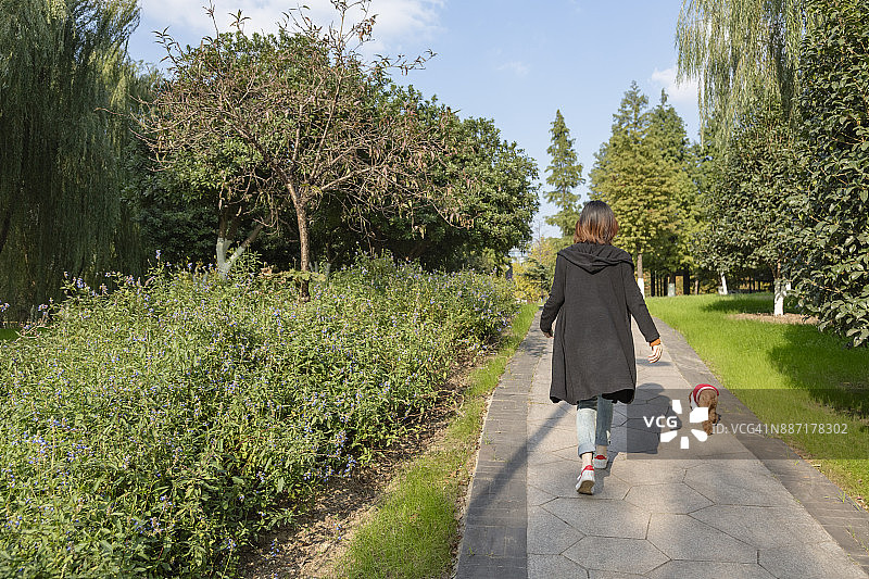 一个女人在公园遛狗图片素材