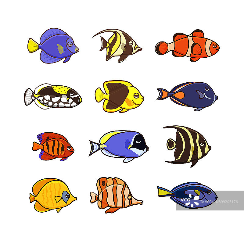 可爱的鱼矢量插图图标集。热带鱼、海鱼、观赏鱼图片素材