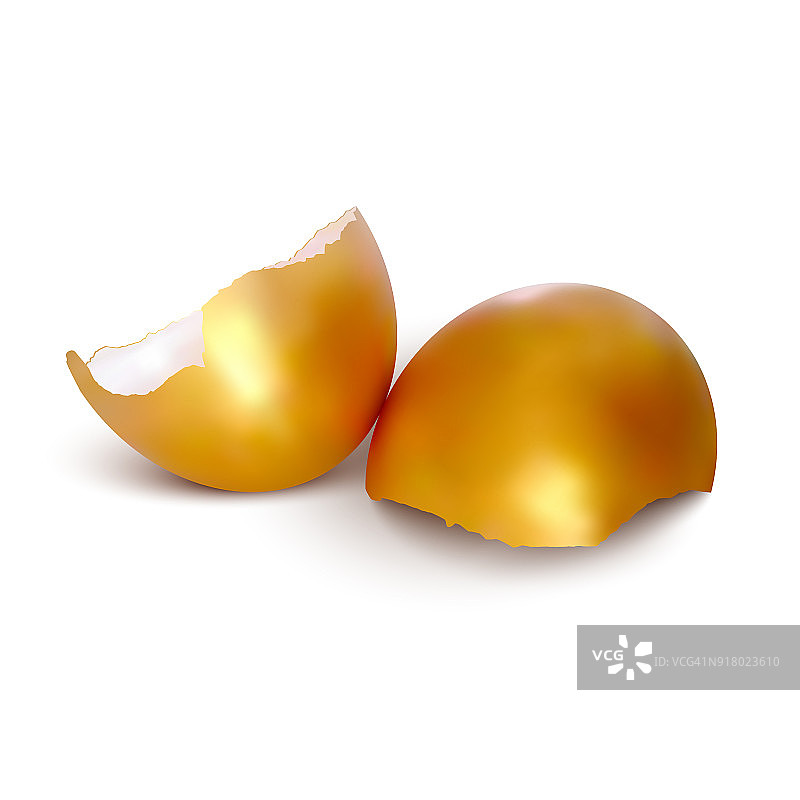 两个现实的复活节金蛋壳在白色背景矢量图片素材