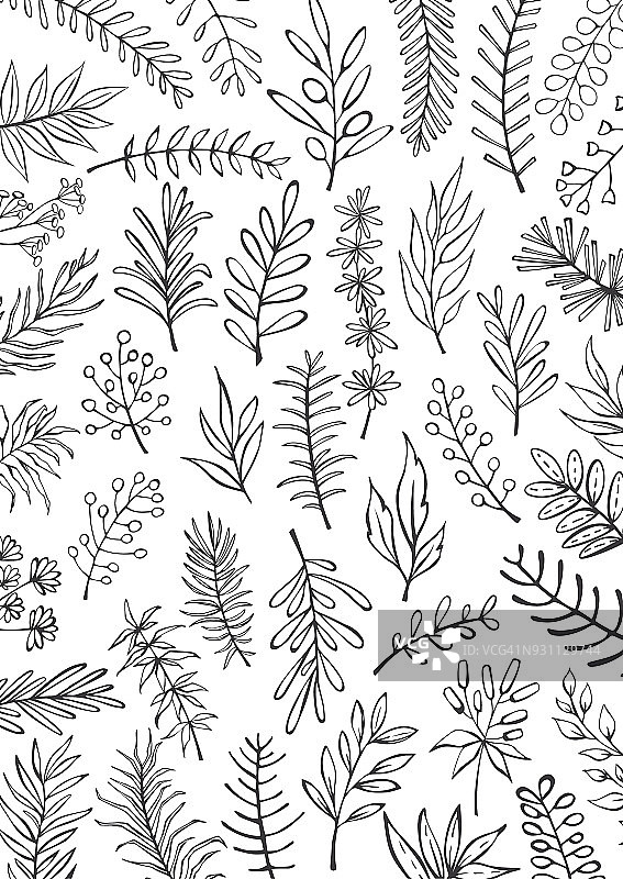 黑白花手绘农家风格勾勒细枝枝桠背景图片素材