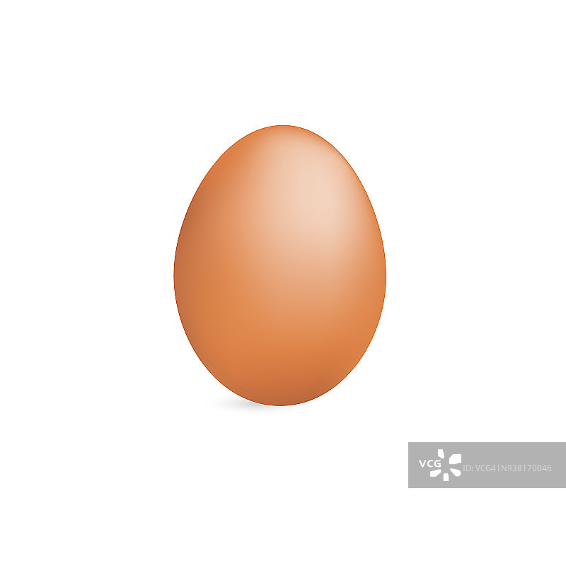 现实的棕色鸡蛋在白色背景矢量图片素材