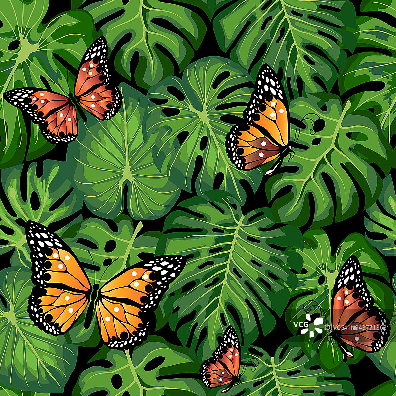 热带树叶和蝴蝶图片素材