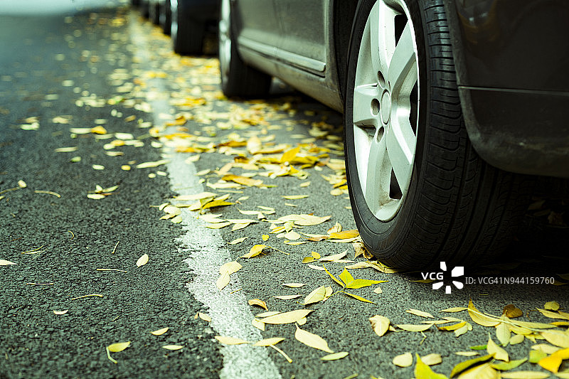 落叶由停在路上的汽车图片素材