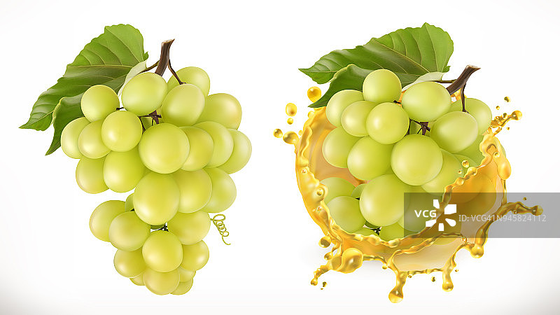 白色甜葡萄和果汁飞溅。新鲜水果，3d矢量图标图片素材
