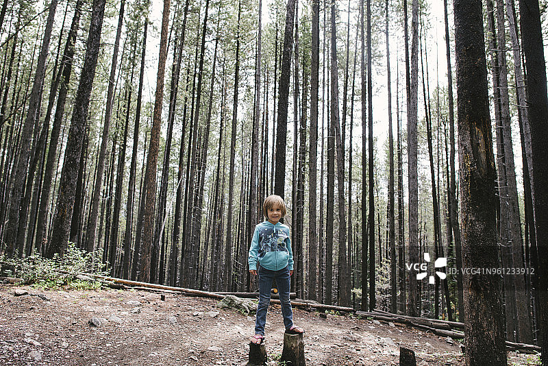 一个女孩在森林里站在树桩上的肖像图片素材