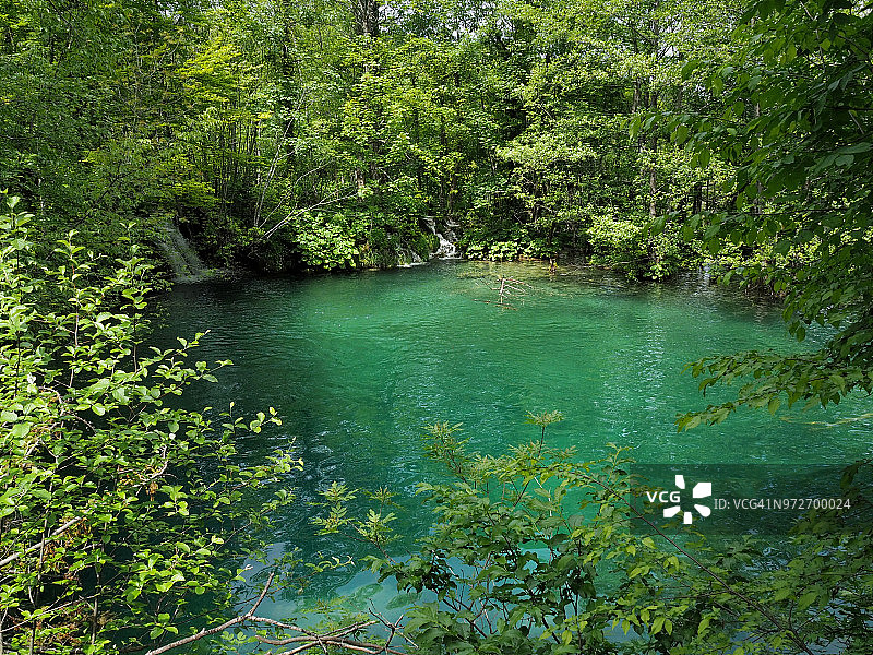 翡翠池在Plitvice湖国家公园图片素材