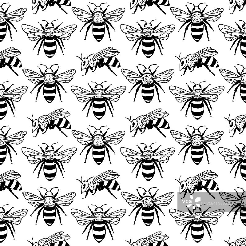矢量无缝模式与蜜蜂。黑白纹理图片素材