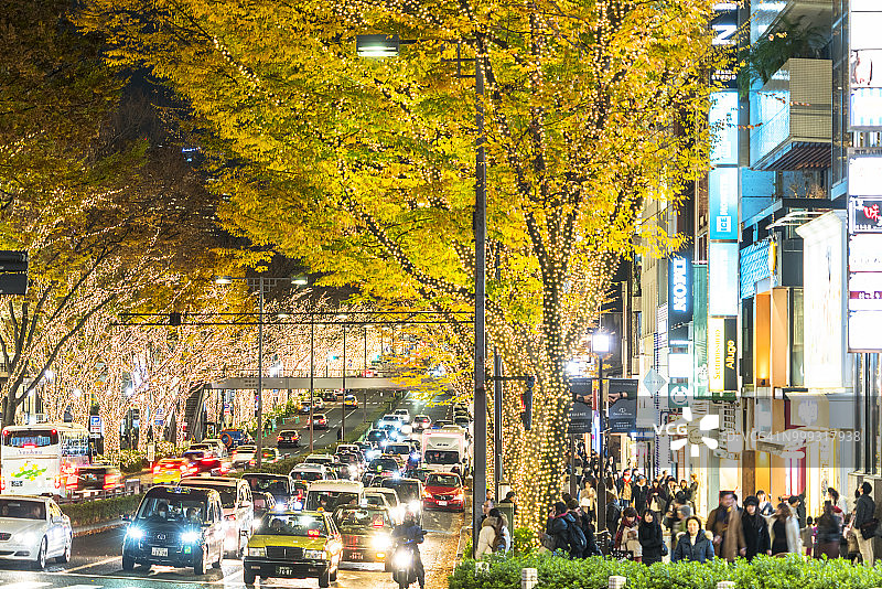 2017年12月5日，在日本涩谷的真国前，人们和汽车在表参道街的冬季节日夜晚穿过一排排被照亮的秋叶树。图片素材