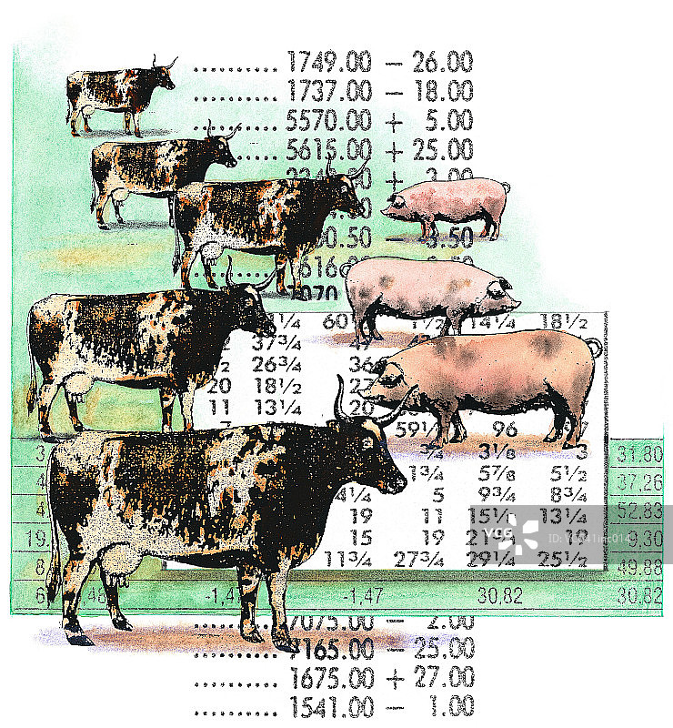 牲畜市场图片素材