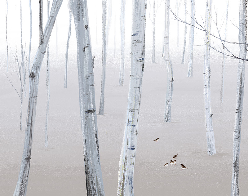 冬天的树林和鸟图片下载