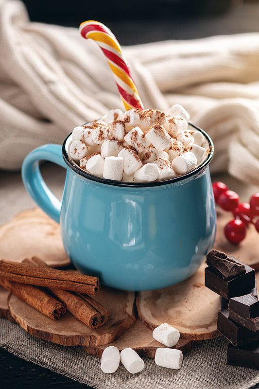 一杯热巧克力，棉花糖和棒糖，针织毯子的背景舒适图片素材