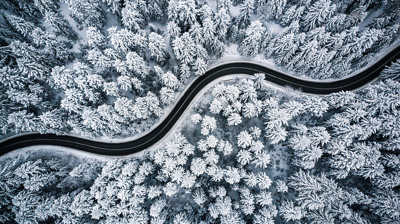 弯曲多风的道路在积雪覆盖的森林，从上到下鸟瞰图图片素材