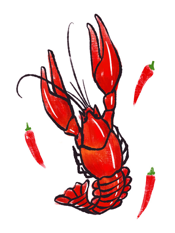 手绘插画 一只小龙虾和辣椒下载