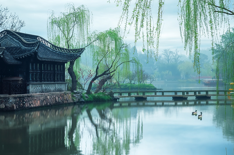 绿色的清明节时分，传统的古建筑旁边杨柳依依，水面上是小鸟图片素材