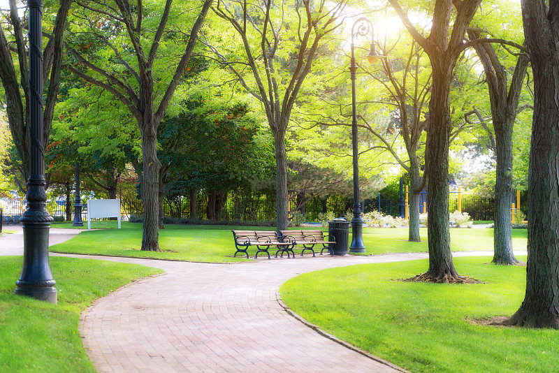 空长椅在绿色公园和天空与阳光，绿色公园户外图片下载