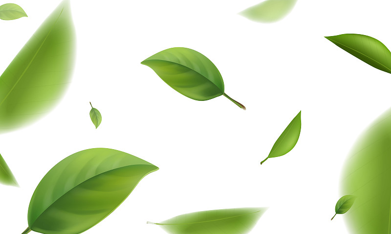 模糊的绿叶飞行在白色的背景，3d现实的矢量插图。图片素材