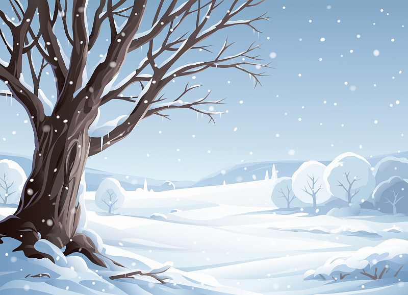冬季景观中的老树图片下载