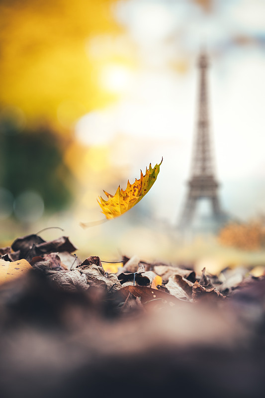 秋天在巴黎图片下载