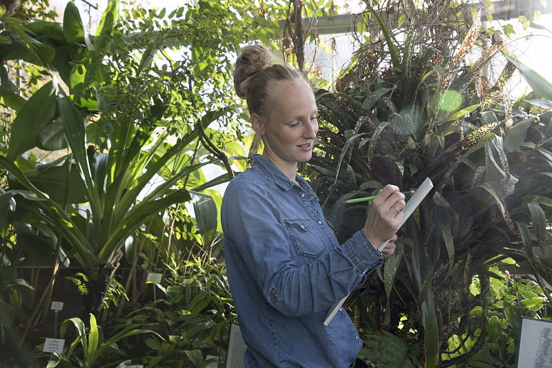 美丽的女性平面设计师绘制植物，而站在植物园图片下载