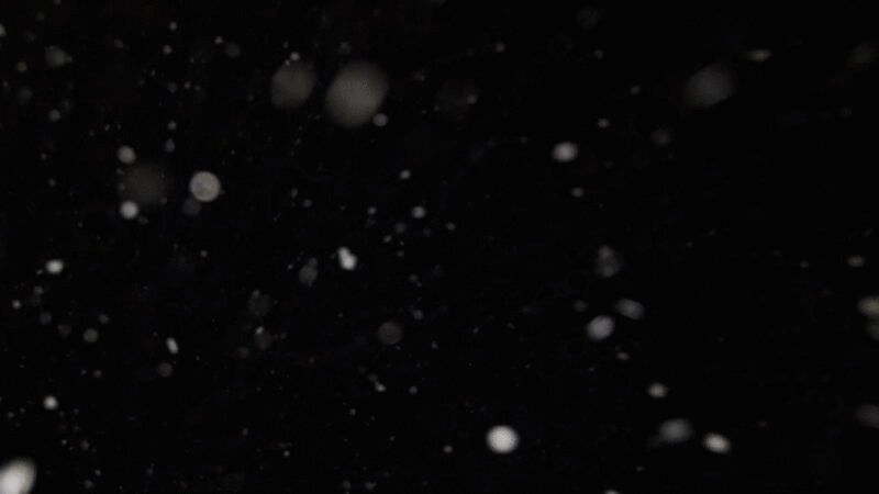夜晚的雪花图片下载