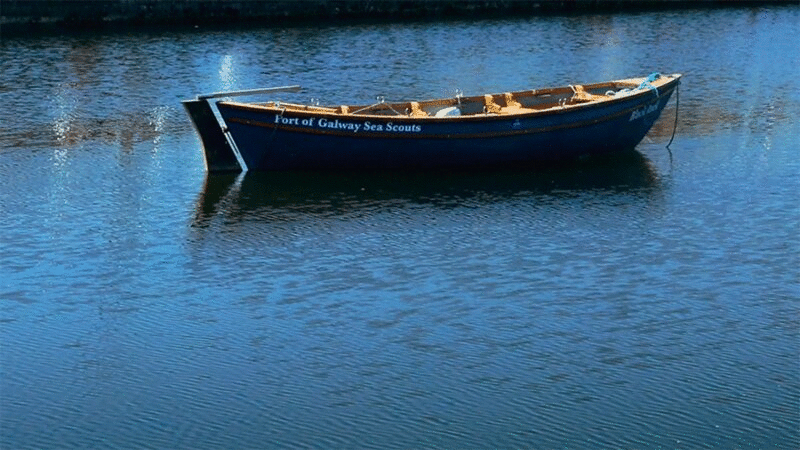 近距离观看划艇在河Corrib，戈尔韦，爱尔兰图片下载
