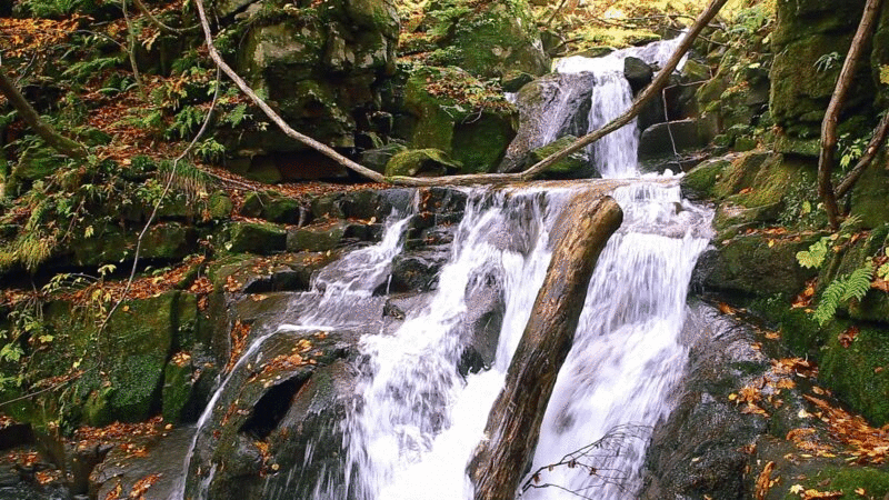 日本入濑溪的小瀑布图片下载