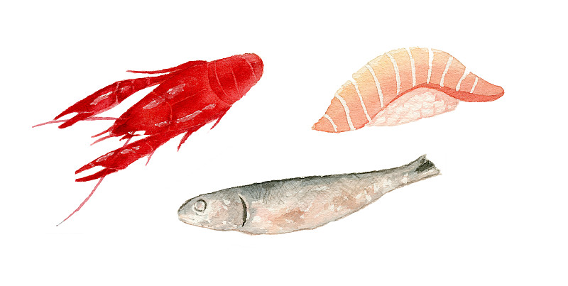 水彩手绘海鲜食材 小龙虾刀鱼三文鱼寿司图片下载