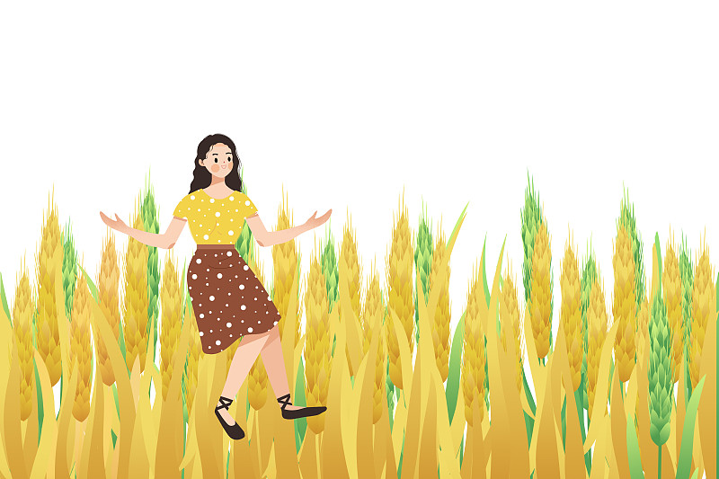 芒种节气金黄的麦穗生长谷物丰收卡通插画图片