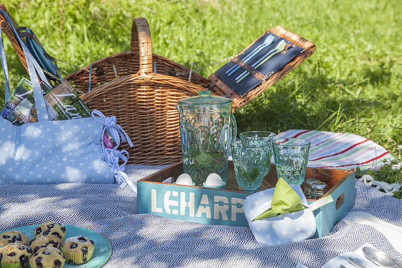 水壶，玻璃杯和手工缝包在野餐毯上图片素材