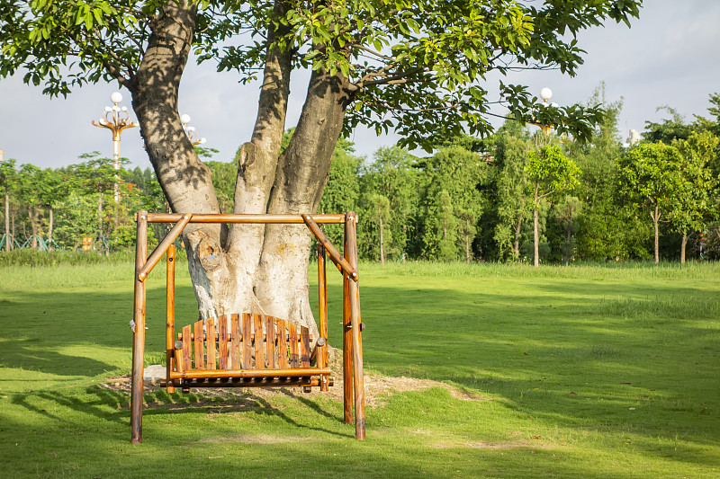 绿色草地的大榕树旁放着一把摇椅图片素材