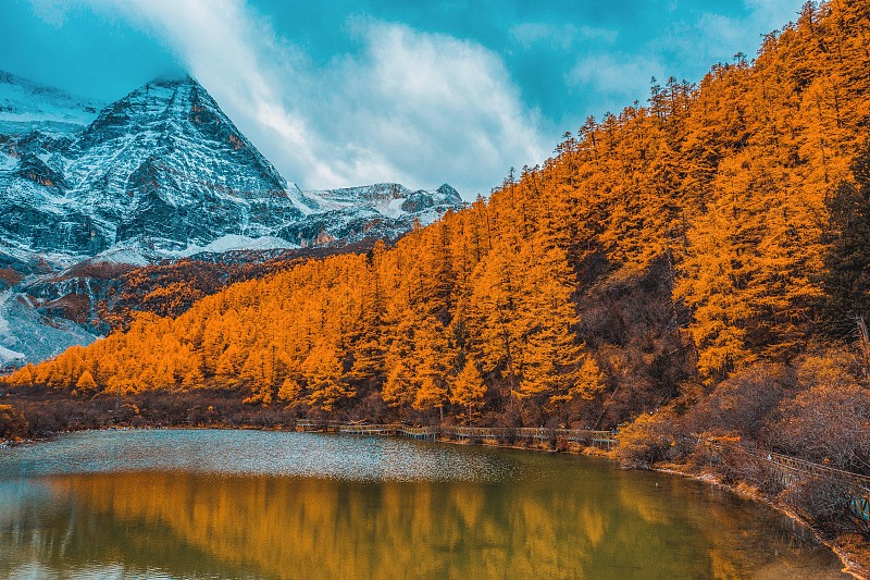 川西 甘孜州 稻城亚丁秋色 秋季风光航拍图片素材