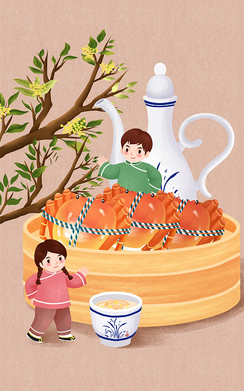 中式传统美食之清蒸大闸蟹图片素材