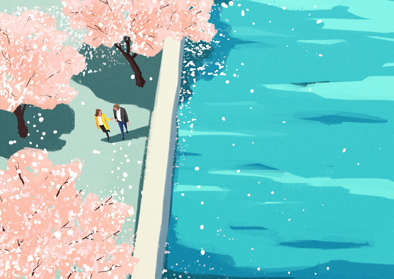 一对情侣在樱花盛开的河边散步图片下载