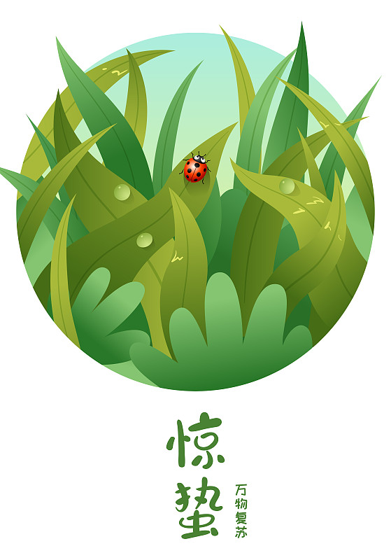 草丛中的一只瓢虫和惊蛰字体图片素材