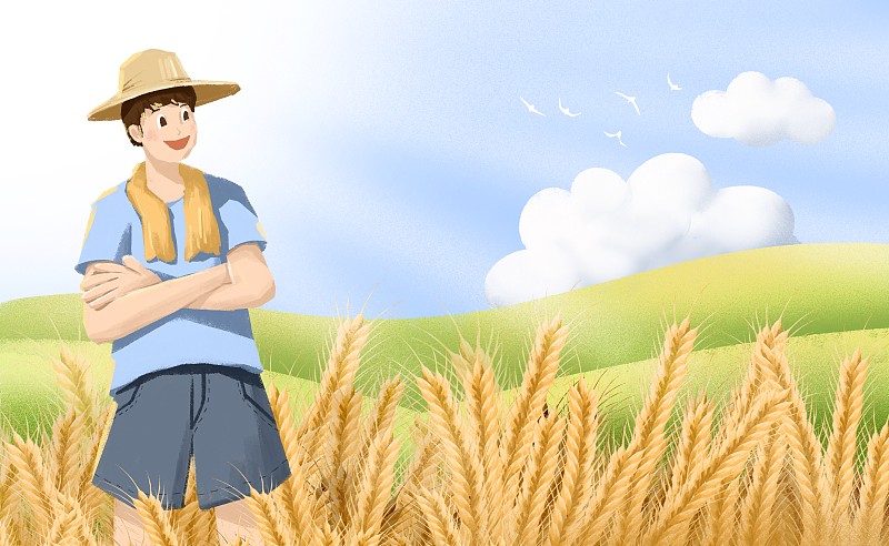 户外耕种的农民和成熟的小麦图片素材