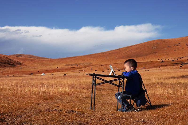 若尔盖草原风光：在蓝天白云大草原下学习的小男孩图片下载