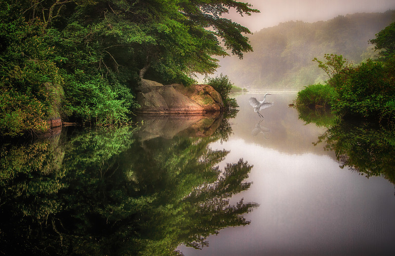 风景如画的河流在森林中，布鲁斯特，马萨诸塞州，美国图片下载
