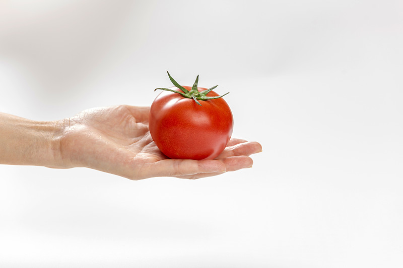 女性手拿西红柿番茄特写白色背景图片下载