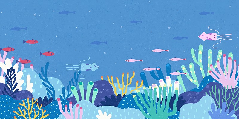 世界海洋日-植物和鱼类丰富的蓝色海底世界图片下载
