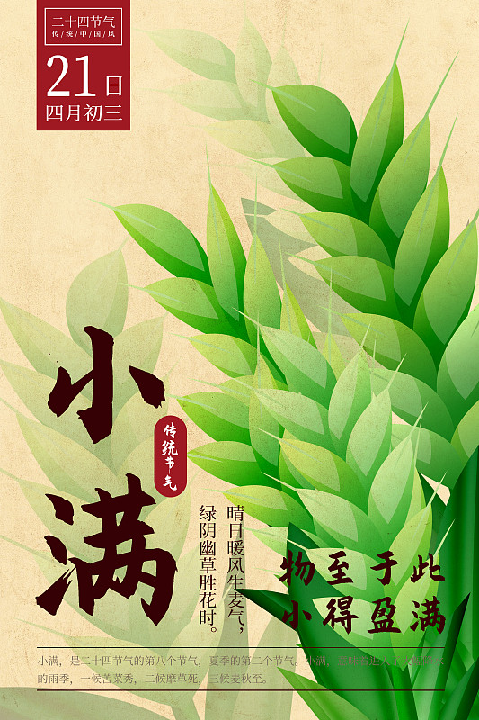 二十四节气新中式植物海报-08小满-青麦图片下载